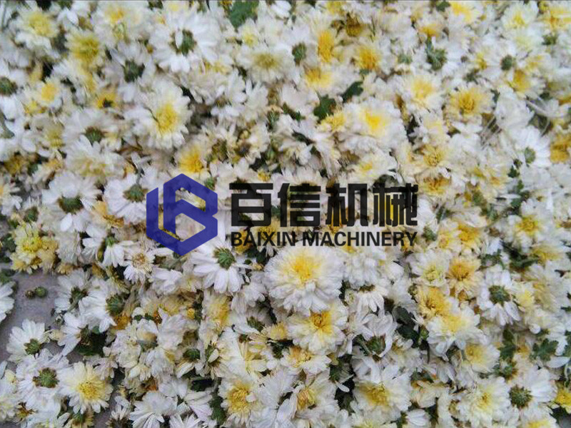 專注品質：新疆地區箱式烘干機在核桃加工中的應用